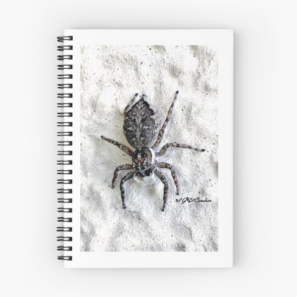 Item preview, jumping spider designed and sold by elGatCendrer.