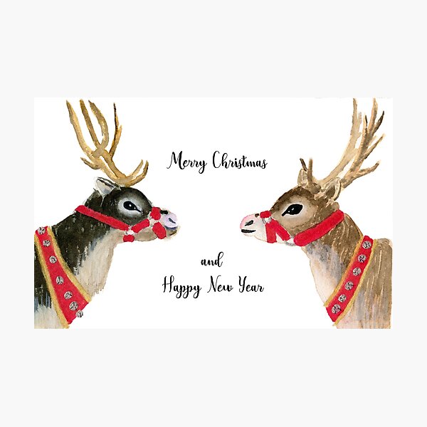 Reindeer Celebration Photographic Print