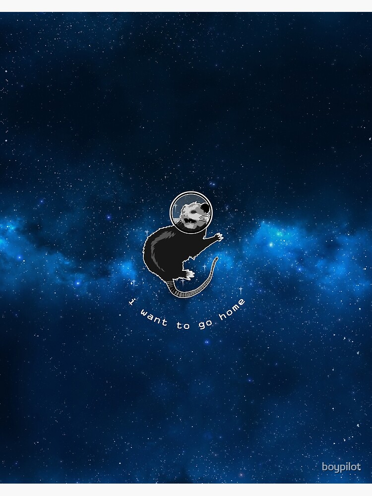Space Possum - Funny Introvert Anxiety Outer Space T-Shirt Space Possum - Funny Introvert Anxiety Outer Space T-Shirt