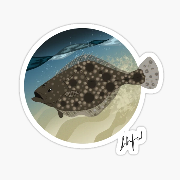 Flounder Fishing Stickers for Sale