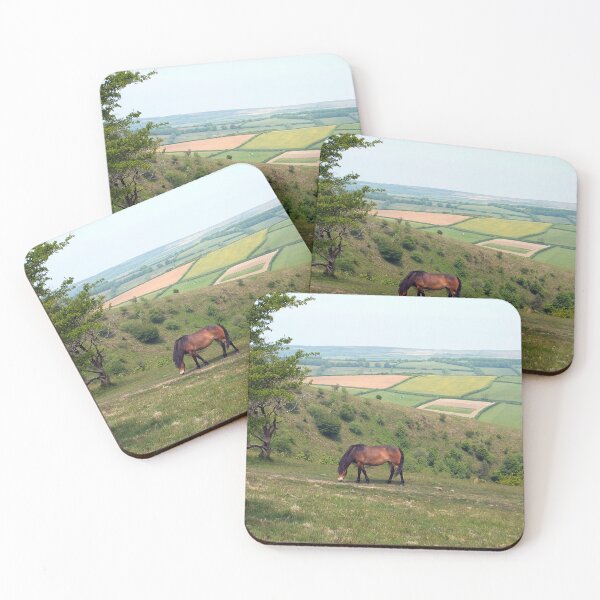 Item preview, Exmoor Pony designed and sold by pinkal.