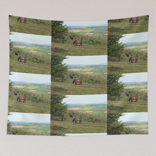 Item preview, Exmoor Pony designed and sold by pinkal.