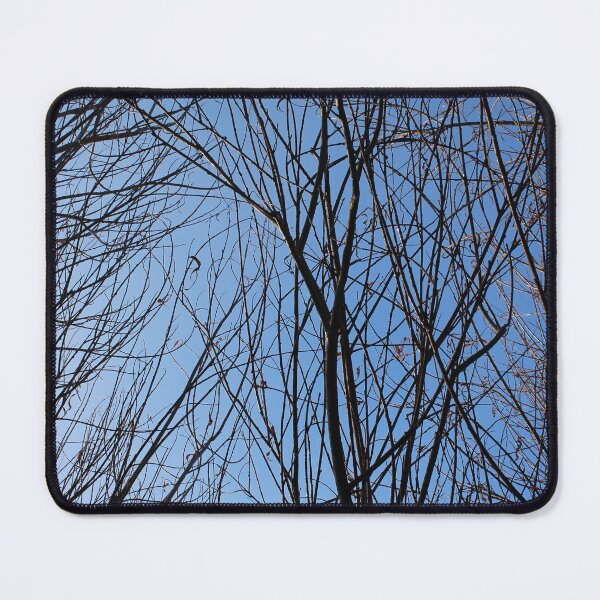 Item preview, A tangle of bare branches blue sky Donegal designed and sold by eddiebarronshop.