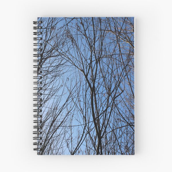 Item preview, A tangle of bare branches blue sky Donegal designed and sold by eddiebarronshop.