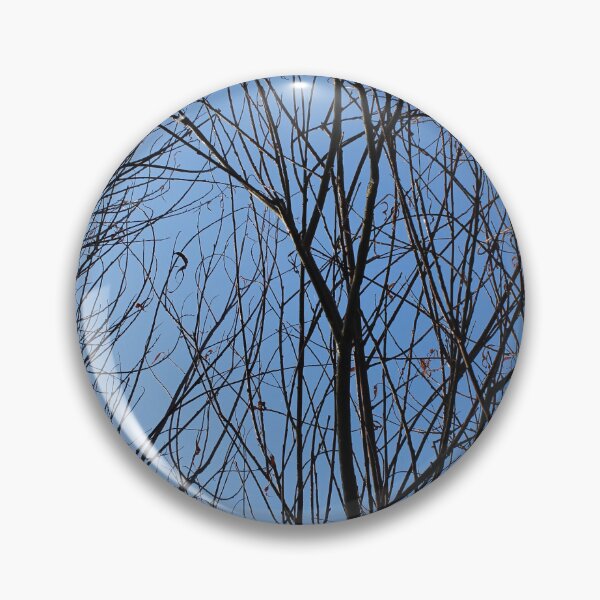 Item preview, A tangle of bare branches blue sky Donegal designed and sold by eddiebarronshop.