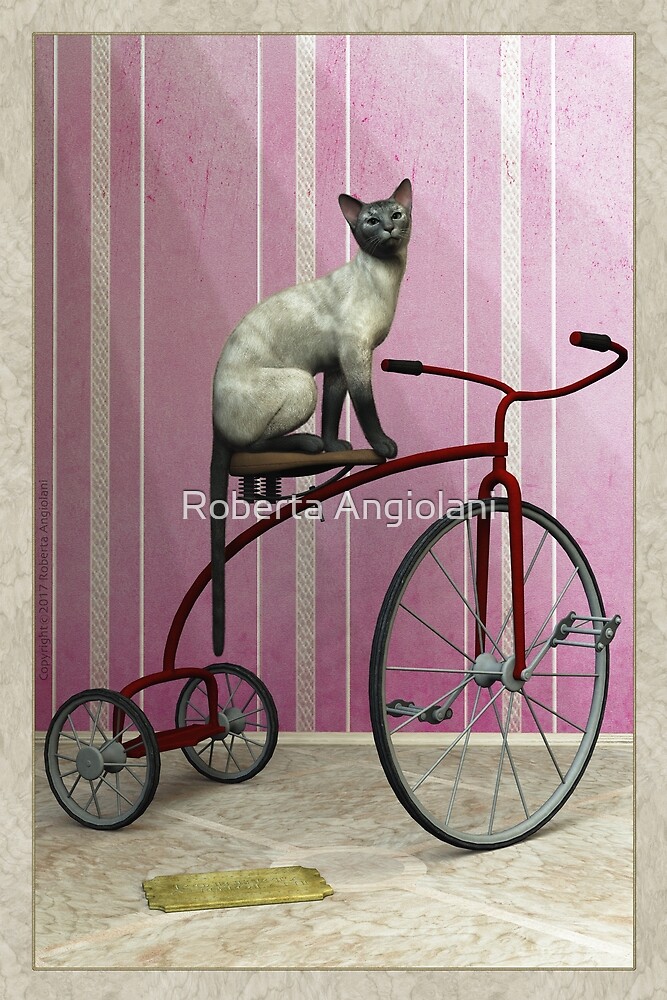 "Cat on tricycle" by Roberta Angiolani Redbubble