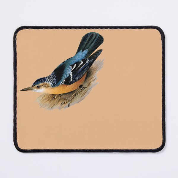 Item preview, Beautiful nuthatch (Sitta formosa). designed and sold by Luggnagg.