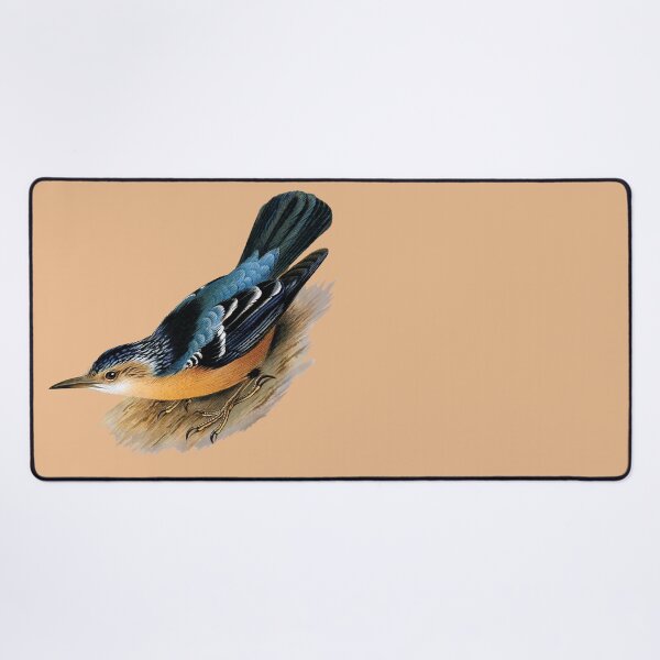 Item preview, Beautiful nuthatch (Sitta formosa). designed and sold by Luggnagg.