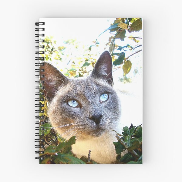 Item preview, Siamese Cat in Tree designed and sold by misimichu.