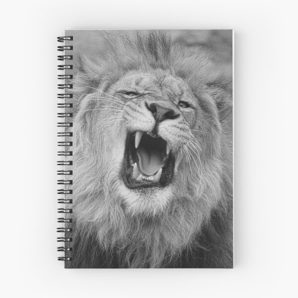 Aperçu de l'œuvre Les Lions grognent en noir et blanc créée et vendue par SteveMcKinzie.