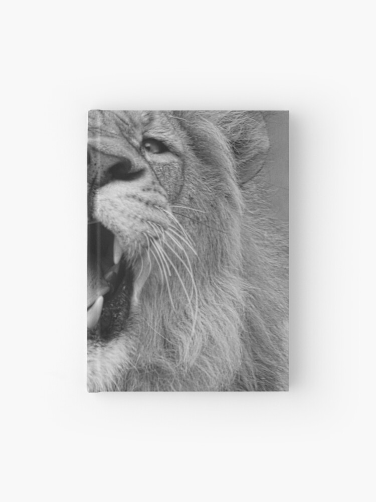 Cuaderno de tapa dura «Los leones gruñen en blanco y negro» de  SteveMcKinzie | Redbubble
