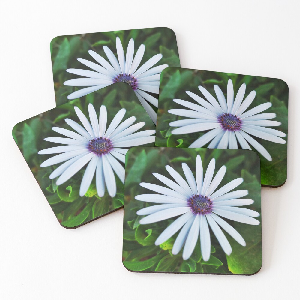 Item preview, Coasters (Set of 4) designed and sold by Rbl20.