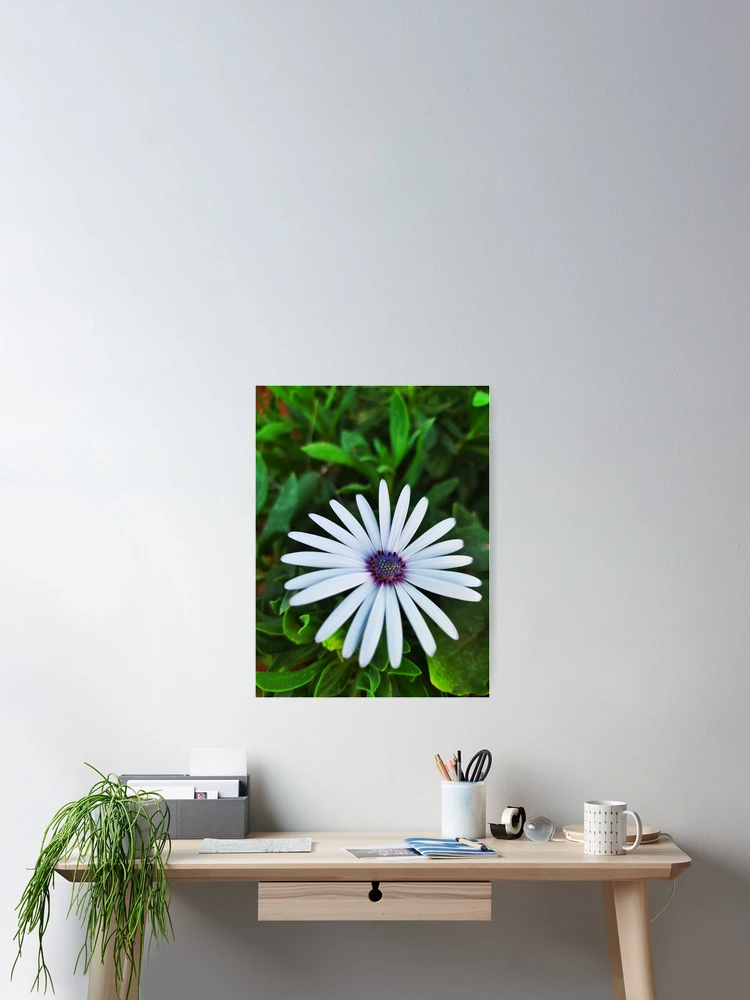 Thumbnail 2 of 3, Poster, Flower ? designed and sold by Rbl20.