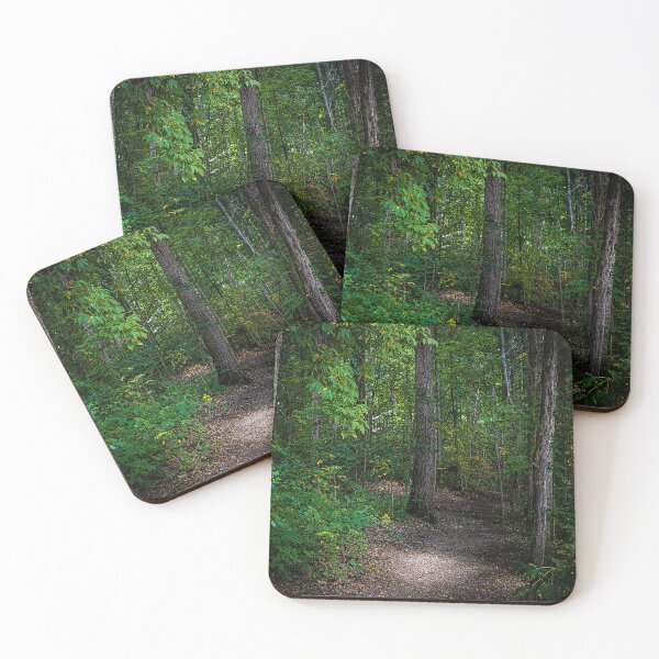 Item preview, Into the Forest I Go designed and sold by MegsPhotography.