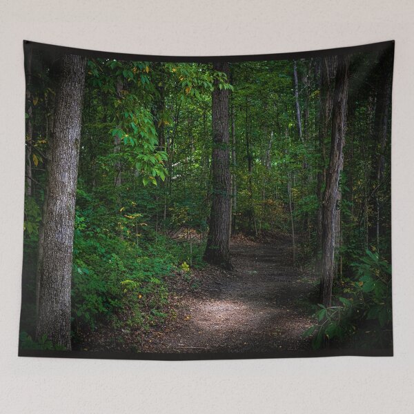 Item preview, Into the Forest I Go designed and sold by MegsPhotography.
