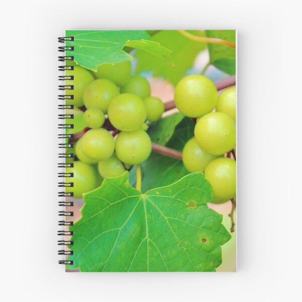 Item preview, Grapes designed and sold by Cynthia48.