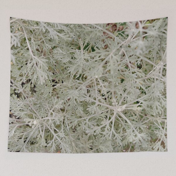 Item preview, Bush plant life designed and sold by natureprint2023.