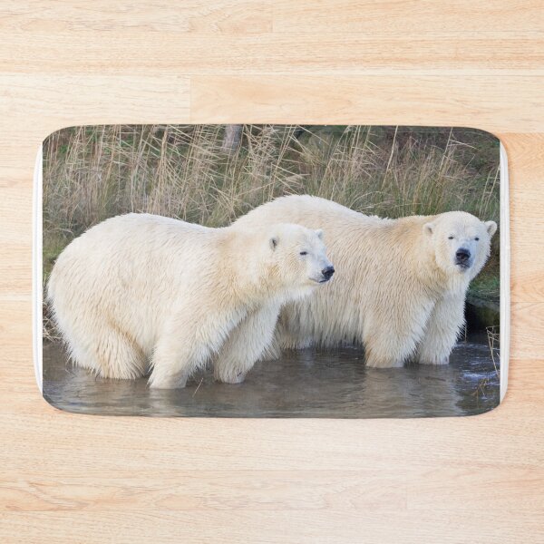 Item preview, Polar Bear Brothers Enjoying Family Time designed and sold by LFPPhotography.