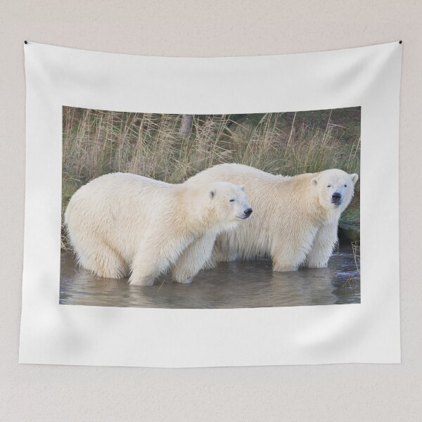 Item preview, Polar Bear Brothers Enjoying Family Time designed and sold by LFPPhotography.