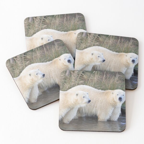 Item preview, Polar Bear Brothers Enjoying Family Time designed and sold by LFPPhotography.
