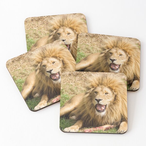 Item preview, Lion Enjoying His Dinner designed and sold by LFPPhotography.