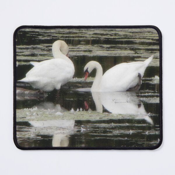 Item preview, Canadian Swans designed and sold by ArtOfE.