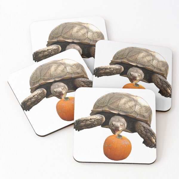 Item preview, Happy Sulcata designed and sold by misimichu.