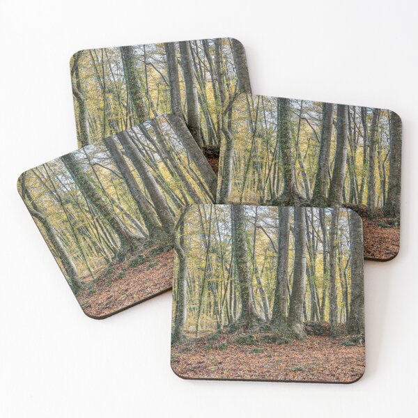 Item preview, Autumn Forest Tree Landscape, La Fageda d'en Jordà from La Garrotxa, in Catalonia, Spain designed and sold by Marc Garrido Clotet.