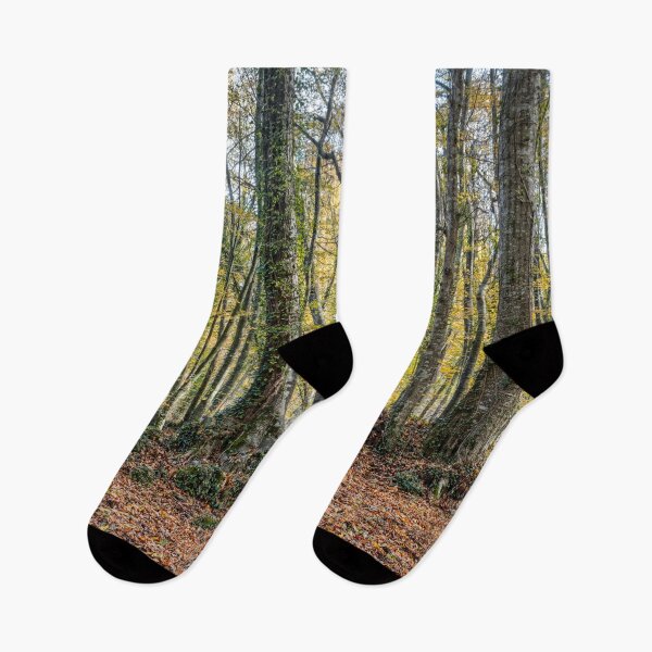 Item preview, Autumn Forest Tree Landscape, La Fageda d'en Jordà from La Garrotxa, in Catalonia, Spain designed and sold by Marc Garrido Clotet.