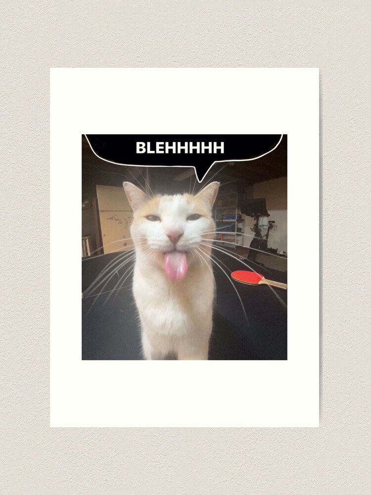 Silly BLEHHHHH :P Cat Meme PFP Profile Picture