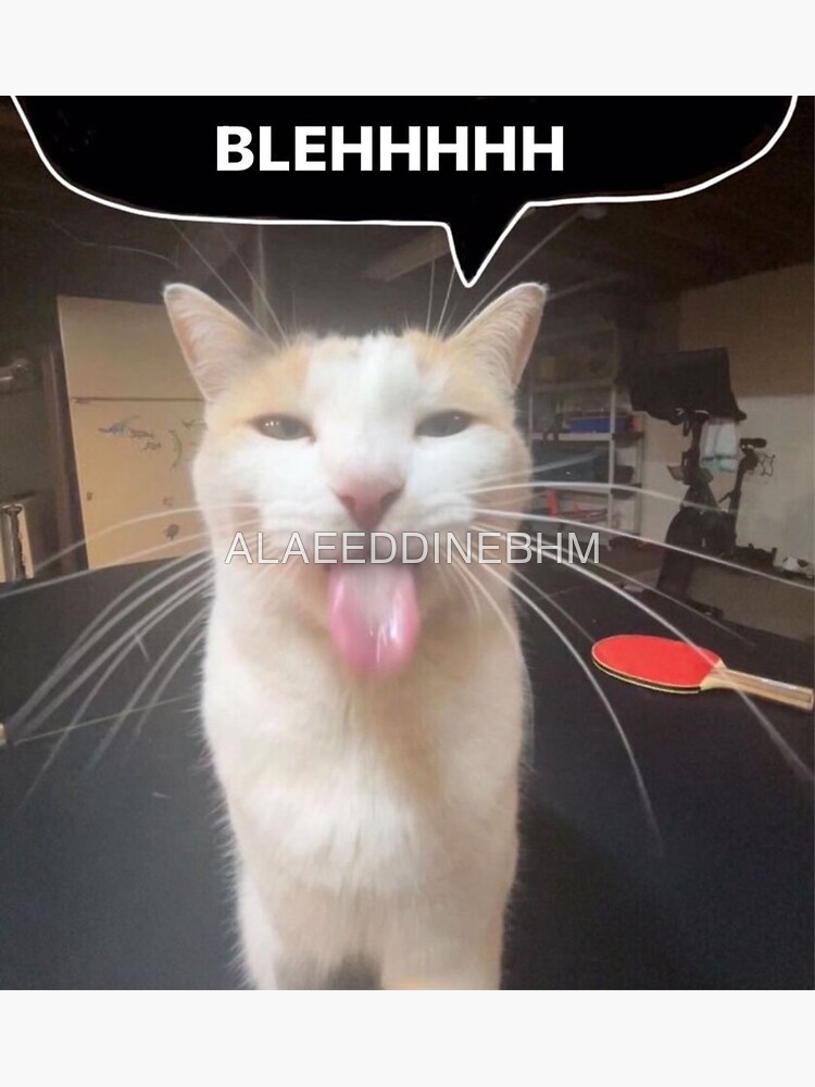 BLEHHHHH :P Cat