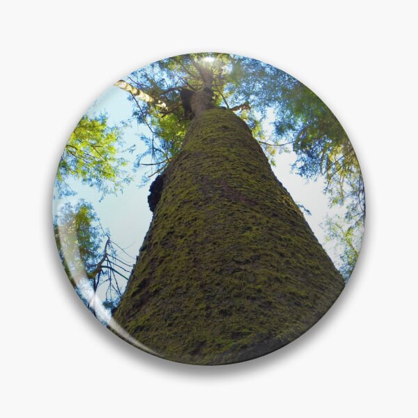 Item preview, Reaching for the Sky designed and sold by FHJArtandPhoto.