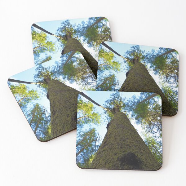 Item preview, Reaching for the Sky designed and sold by FHJArtandPhoto.
