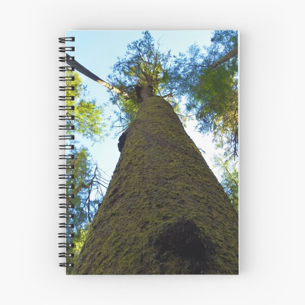 Item preview, Reaching for the Sky designed and sold by FHJArtandPhoto.