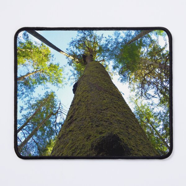 Item preview, Reaching for the Sky designed and sold by FHJArtandPhoto.