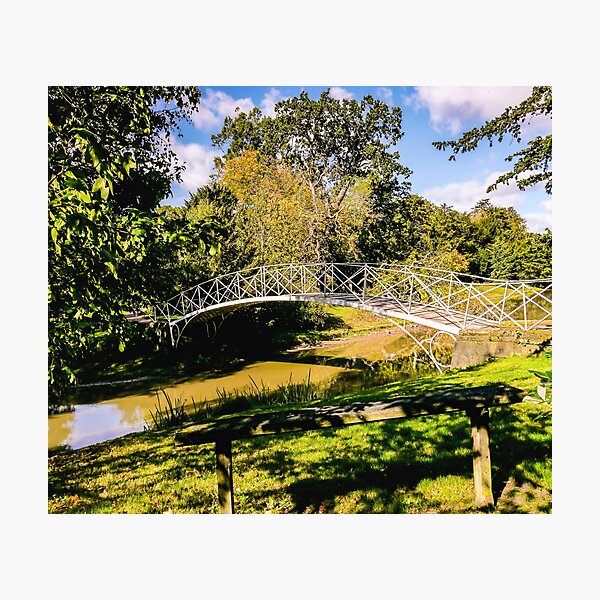 View from a seat. Photographic Print