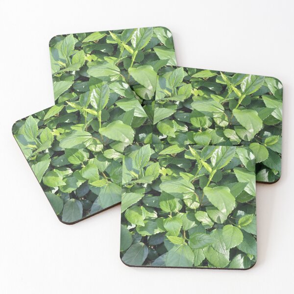 Item preview, A bushe of leaves in the sunlight. designed and sold by natureprint2023.