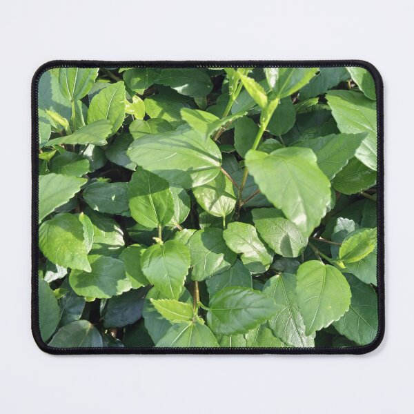 Item preview, A bushe of leaves in the sunlight. designed and sold by natureprint2023.