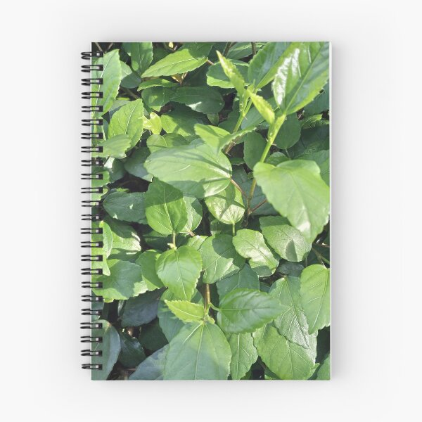 Item preview, A bushe of leaves in the sunlight. designed and sold by natureprint2023.