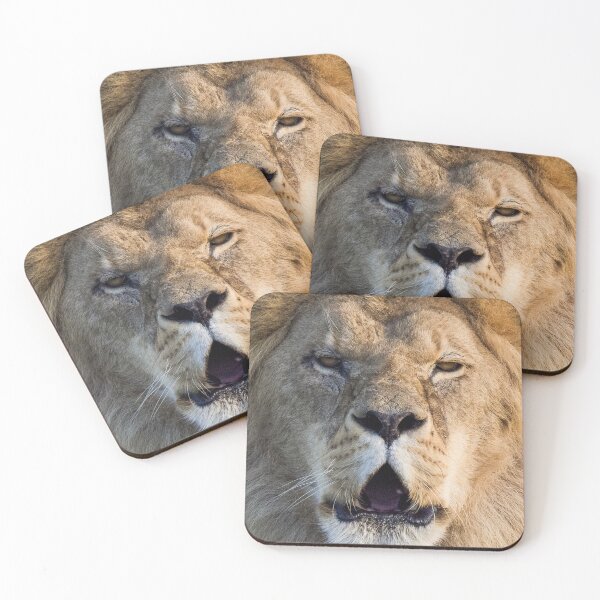 Item preview, Lion Posing For The Camera designed and sold by LFPPhotography.