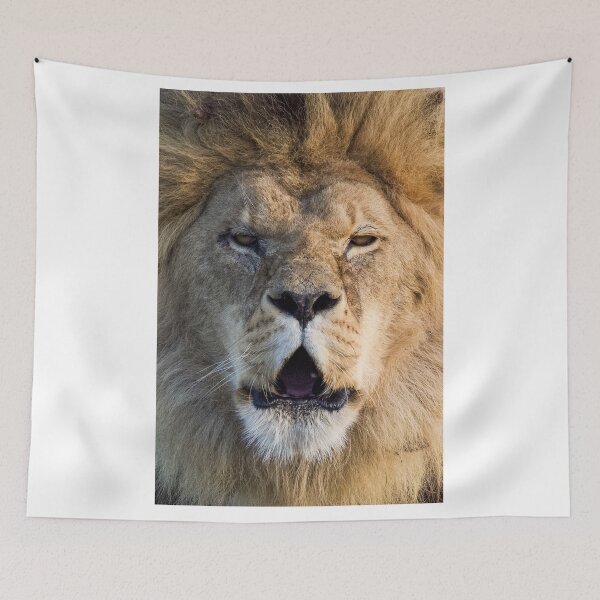 Item preview, Lion Posing For The Camera designed and sold by LFPPhotography.