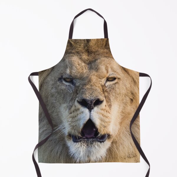 Item preview, Lion Posing For The Camera designed and sold by LFPPhotography.
