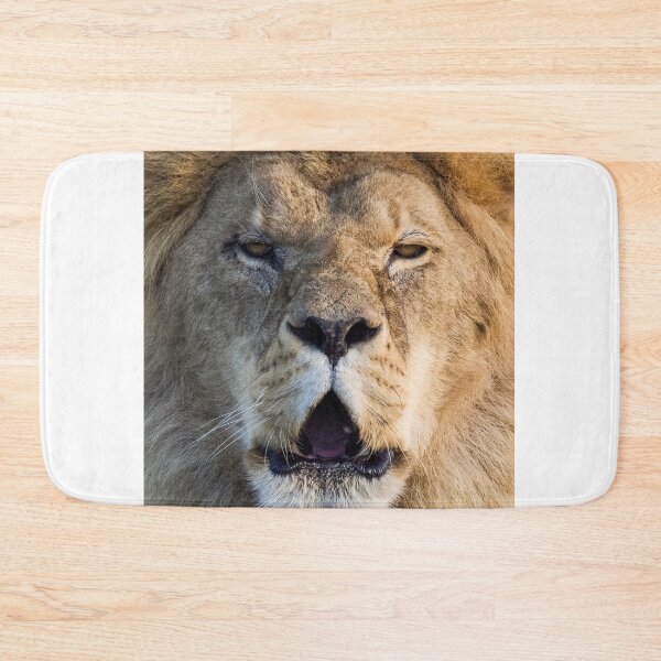 Item preview, Lion Posing For The Camera designed and sold by LFPPhotography.