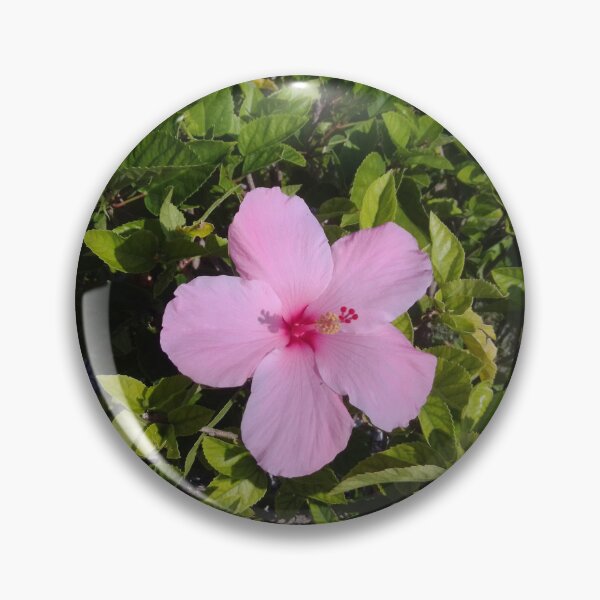Artikelvorschau, Rosa Hibiskus entworfen und verkauft von MissTLand.