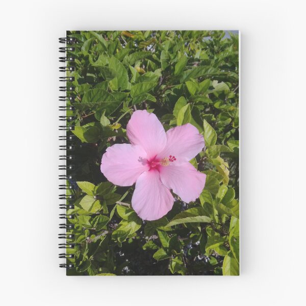 Item preview, Pink Hibiscus designed and sold by MissTLand.