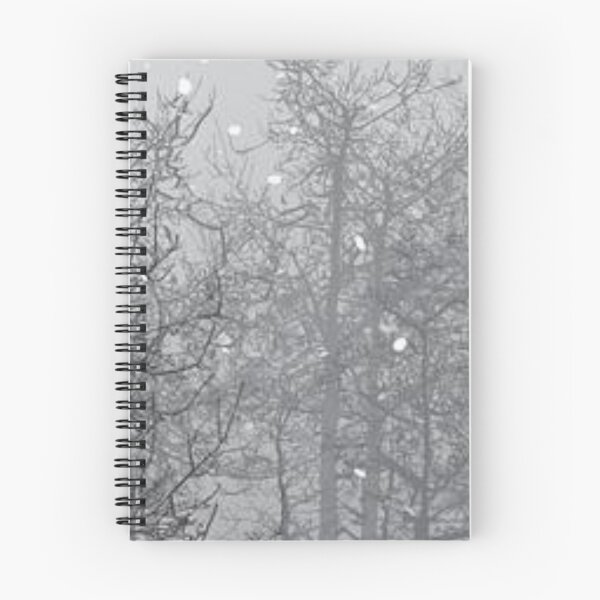 Item preview, Winter branches designed and sold by Aquila Light Pictures.