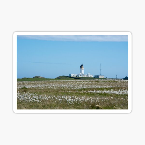 Item preview, Lighthouse behind Bog Cotton designed and sold by Alternative Perspectives.