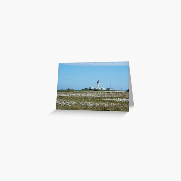 Lighthouse behind Bog Cotton Greeting Card