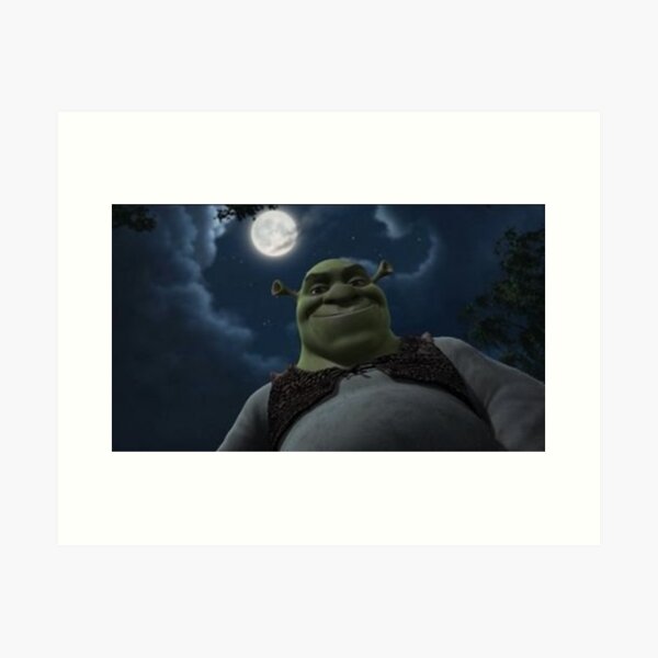 cook shrek  Canvas Print for Sale by Alexis m