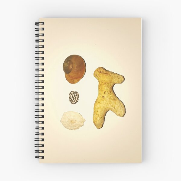 Item preview, Sea Shell Collection designed and sold by CoordinatedCo.